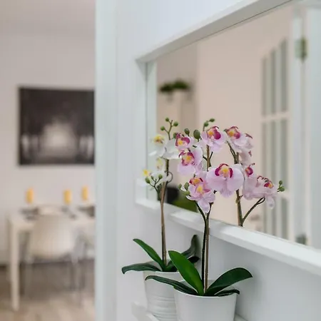 Cruz Downtown Lägenhet Santa Cruz de Tenerife